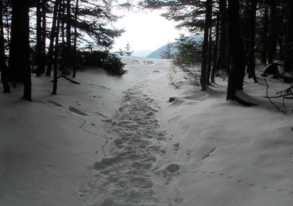 November in Crawford Notch