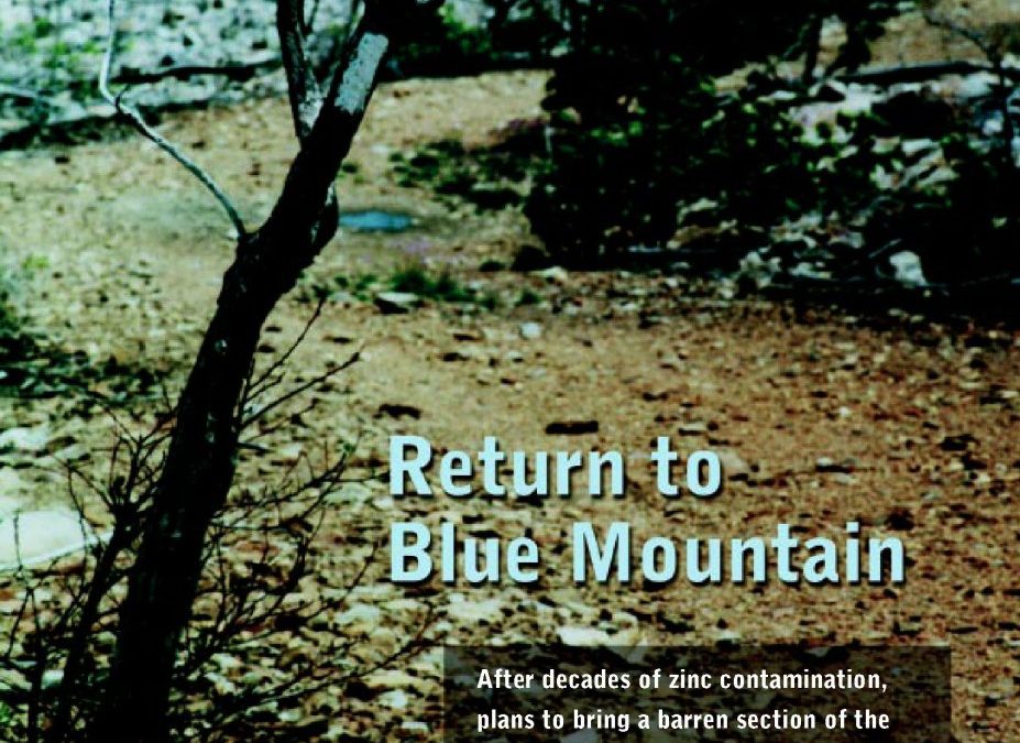 Return to Blue Mountain