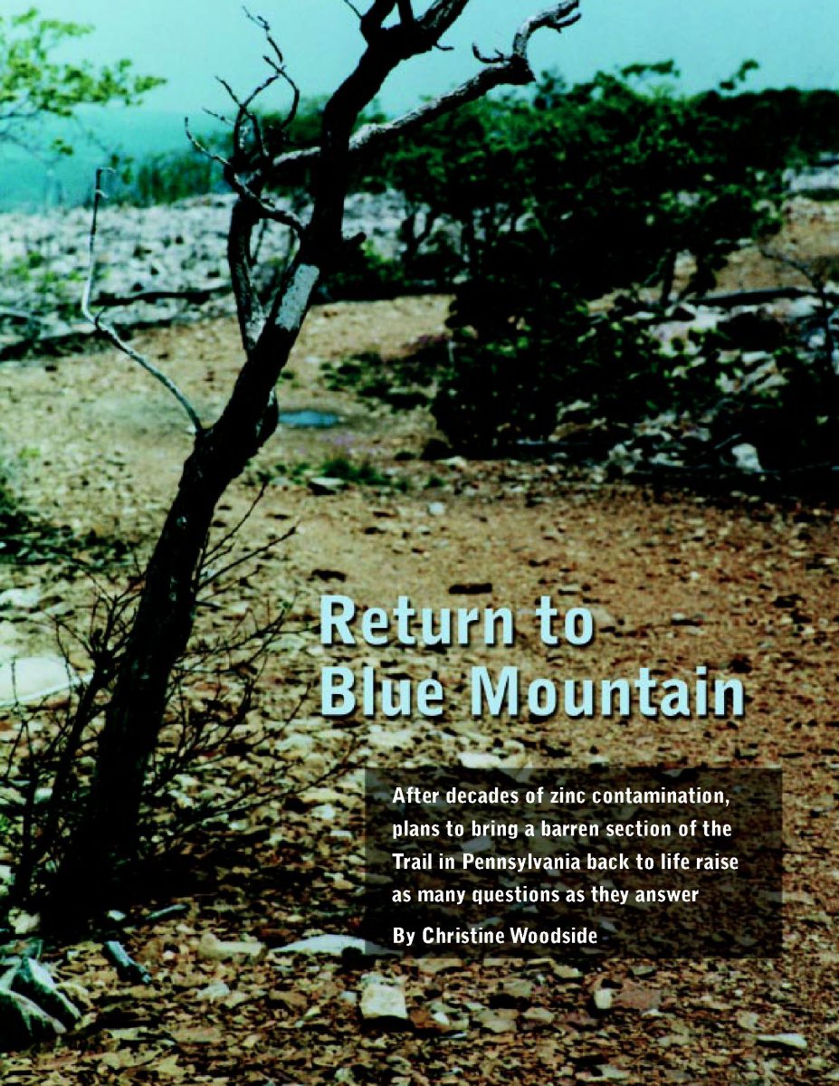 Return to Blue Mountain