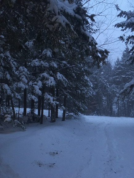 Snowfall on Pasture Path