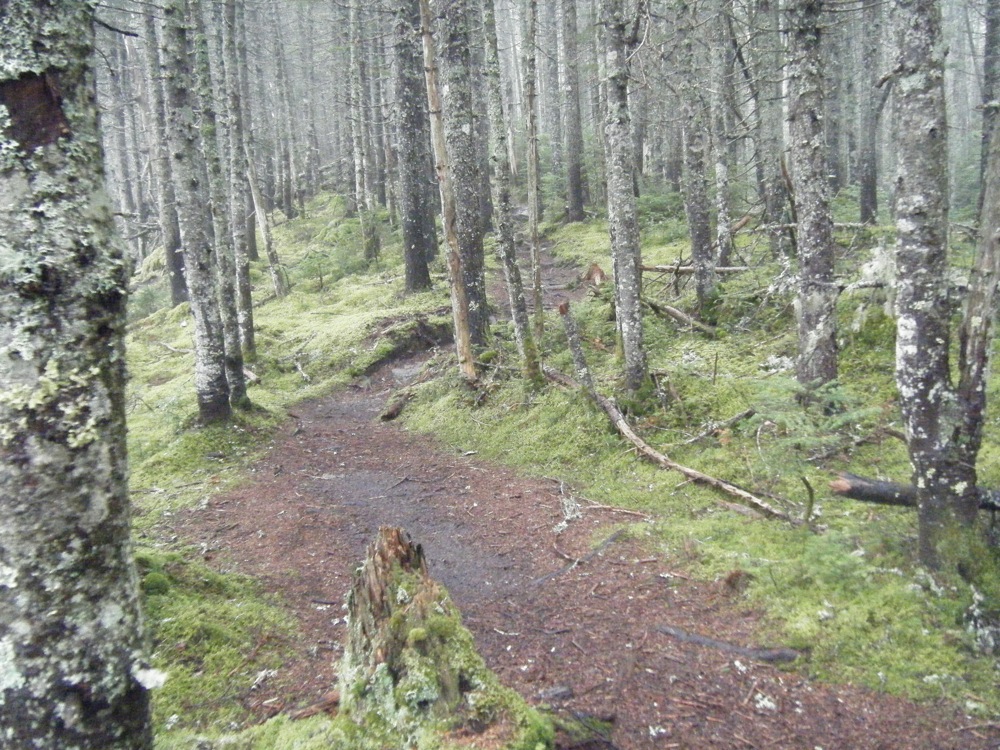 Mount Isolation Trail