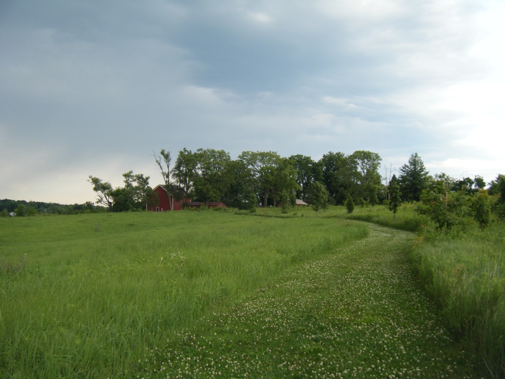 Restored prairie and mown path on the grounds of the Herbert Hoover Presidential Library