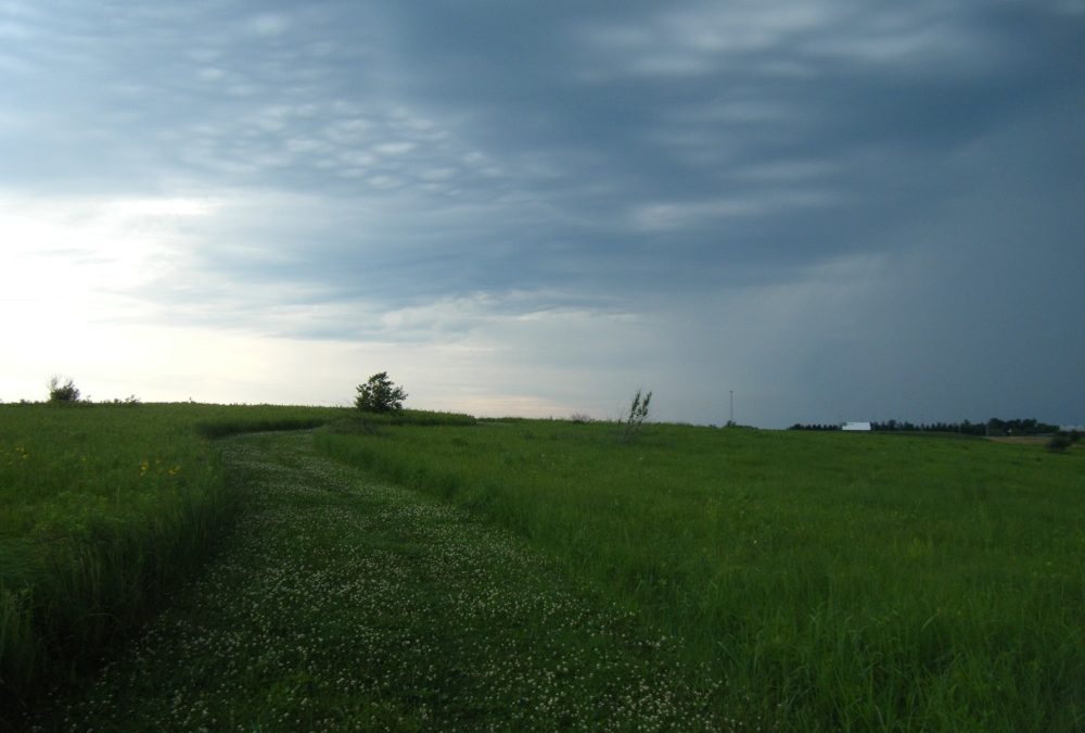 Heading back to the prairie