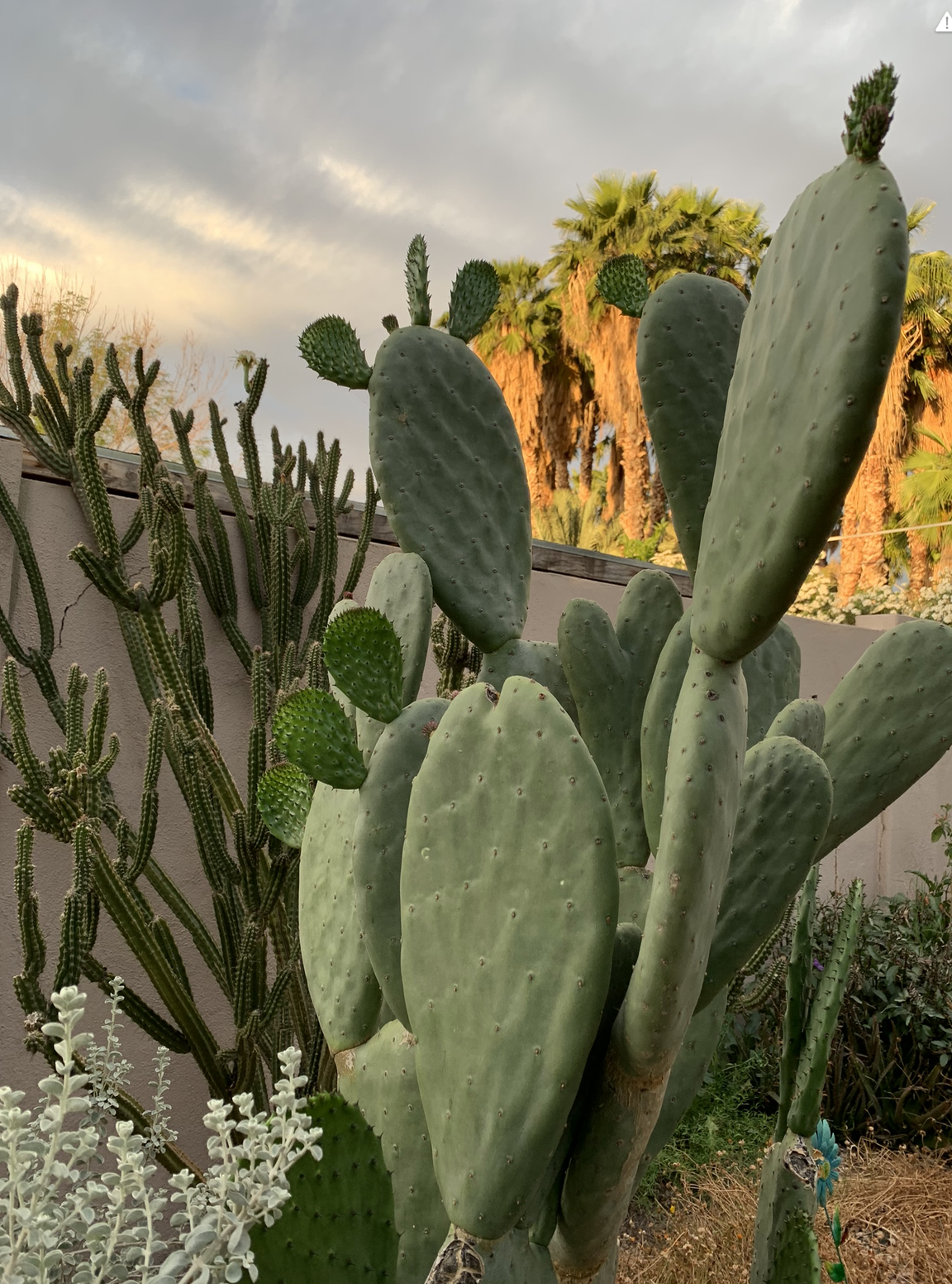 Raining in Arizona